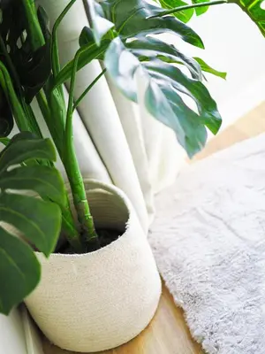 a plant in a white pot sitting on a table at Madeira apartment in Mindelo São Vicente in Mindelo