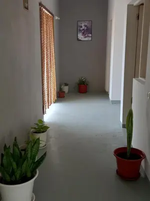 a hallway with potted plants in a room with windows at Residencial Rosa Criola in Sal Rei
