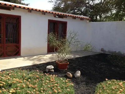 a house with a potted plant in the yard at Villa Morabeza Guest House in Mindelo