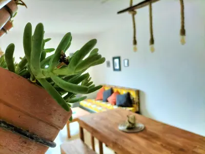a living room with a table and a potted plant at Solstice in Santa Maria
