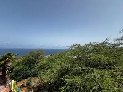 a view of the ocean from a hill with trees at Bamboo Xaguate Hotel in São Filipe