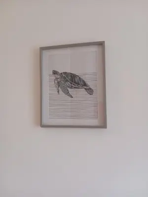 a picture of a turtle in a frame on a wall at Oasis Palmeira in Santa Maria