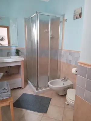 a bathroom with a shower and a toilet and a sink at Oasis Palmeira in Santa Maria