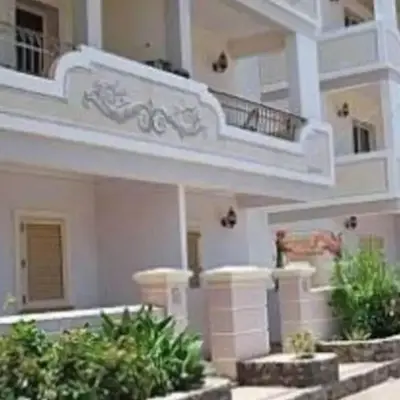 Oasis Palmeira