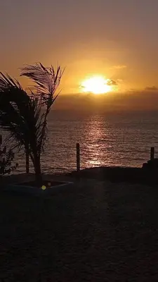 a sunset on the beach with a palm tree at Farfalla in Vila do Maio