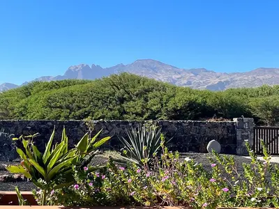 a garden with plants and mountains in the background at Vila Babosa in Porto Novo
