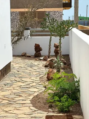 a garden with a stone walkway with trees and a building at Djon’s place in Baia das Gatas