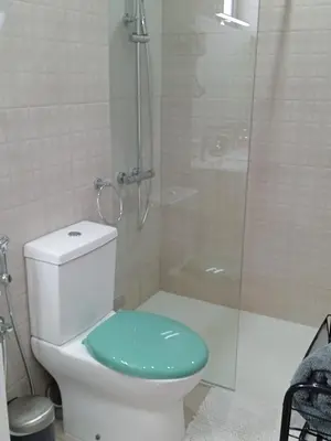 a bathroom with a shower and a toilet with a green lid at chambre chez alcinda in Mindelo