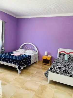 a bedroom with two beds and a purple wall at Casa Adriano & Filomena Montrond in Portela