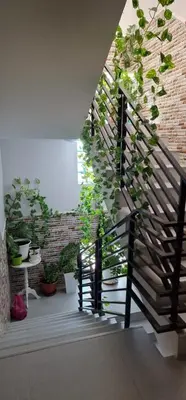 a staircase with potted plants in a room at SUITES-HOME, CIDADELA in Praia