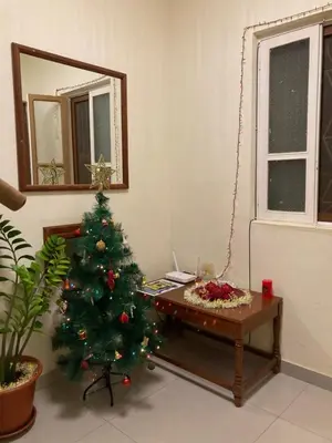 a living room with a christmas tree and a table at Constança Retreat in Mindelo