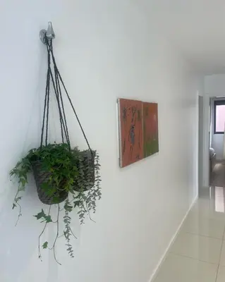 a plant in a hanging basket on a wall at Ocean View Santa Filomena in Mindelo