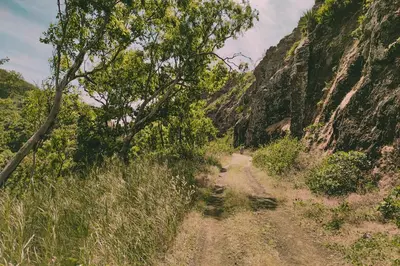 a dirt road with trees on the side of a mountain at King Fisher Village Eco-Boutique Hotel in Tarrafal