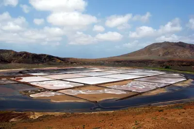 an aerial view of a solar farm in the desert at Tity Apartments T2- Santa Maria in Santa Maria