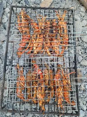 a bunch of lobsters cooking on a grill at Casa Graciosa in Tarrafal