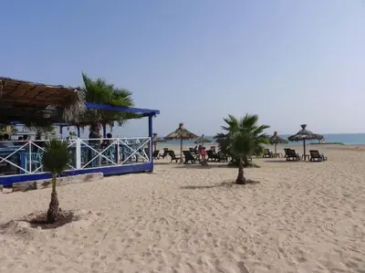 two palm trees on a beach with umbrellas at Penthouse with Panoramic Ocean Views and unlimited WiFi in Santa Maria
