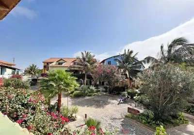 a garden with palm trees and flowers in front of a house at Beautiful loft in Porto Antigo 1 in Santa Maria
