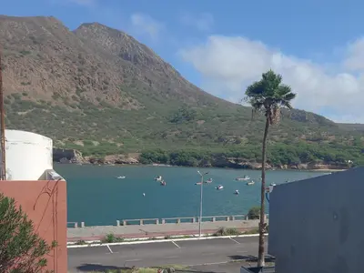 a palm tree in front of a body of water with boats at Casa Herminia in Tarrafal