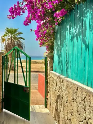 an open door on a stone wall with pink flowers at Boutique Apartments Ibiscus in Santa Maria