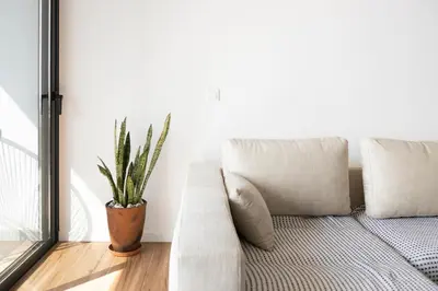 a couch in a living room with a potted plant at Lux 3-BR: Panoramic Sea View & Rooftop Pool in Praia