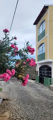 a building with pink flowers in front of it at Casinha Nova - Comfort & Class in Fogo in São Filipe