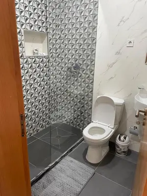 a bathroom with a toilet and a shower at Rosario’s Residence in Praia