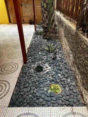 a garden with rocks and plants on a patio at Beira Mar AB2 in Santa Maria
