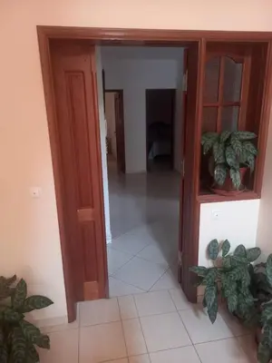 an open door to a room with plants in it at Black Diamond - CASA Tia Bia in Ribeira Grande