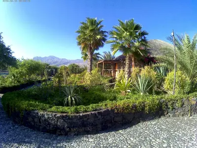 a house with palm trees and a stone wall at Casa De France in Porto Novo