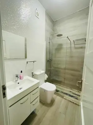 a bathroom with a toilet and a shower and a sink at Aparthotel Pilon T3 in Praia