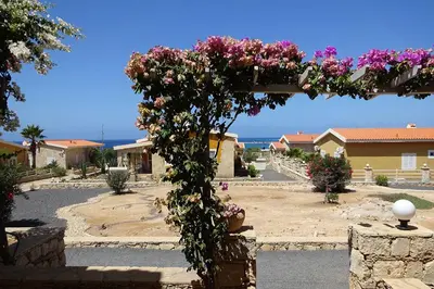 a pergola with flowers on it in a village at Appartamento Percebes. Stella Maris Exclusive in Calheta Do Maio