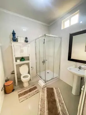 a bathroom with a shower and a toilet and a sink at Zeyden Place Apt 2 in Praia