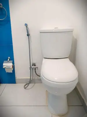 a white toilet in a bathroom with a shower at Kaza Papaya - Papaya House in Tarrafal