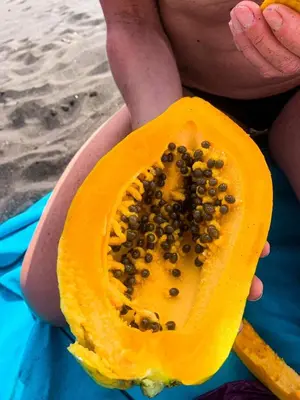a person is holding a papaya with seeds inside at Kaza Papaya - Papaya House in Tarrafal