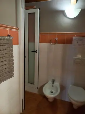 a bathroom with a toilet and a sink at Patio Antigo 218 in Santa Maria