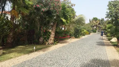 a person walking down a cobblestone street with palm trees at Tortuga beach resort Penthouse apartment for holiday rental in Prainha