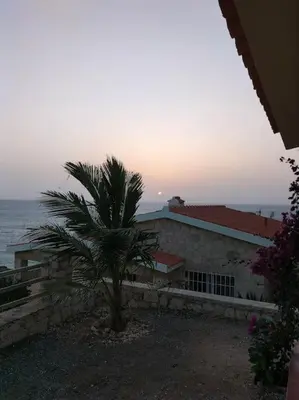 a palm tree in front of a house with the ocean at Villa 4 Stella Maris - Ilha do Maio in Vila do Maio