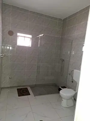a bathroom with a shower and a toilet at Casa Nostra in Sal Rei