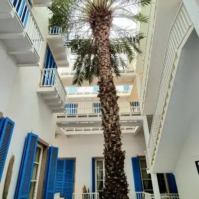 Surf House Casa Vehla