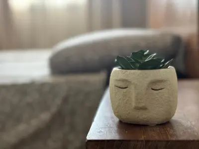 a vase with a plant in it sitting on a table at Tropical Issara Sal in Santa Maria