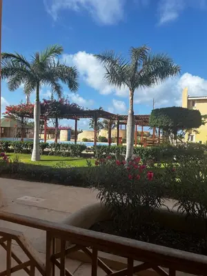 a park with palm trees and a bench and flowers at Tropical Issara Sal in Santa Maria