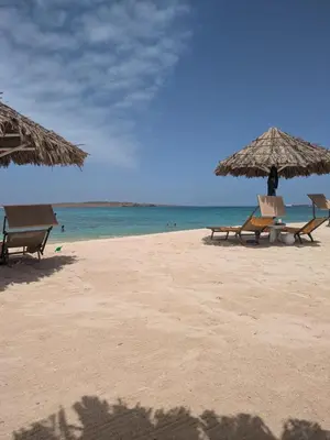 two chairs and umbrellas on a beach with the ocean at Lagoon Apartment mit Pool Boa Vista in Sal Rei