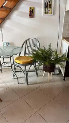 a table and a chair and a table and a plant at Soleil A9 in Santa Maria