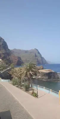a sidewalk next to the water with palm trees at Residencia Solimar in Ponta do Sol
