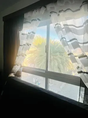 a window with a view of a palm tree at Oásis de retour in Ponta do Sol