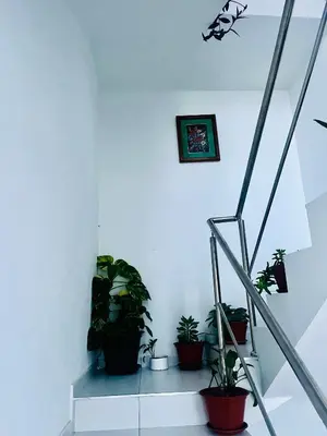a staircase with potted plants in a white room at Oásis de retour in Ponta do Sol