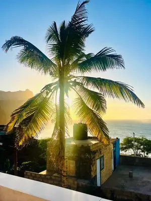 a palm tree sitting on top of a building at Oásis de retour in Ponta do Sol