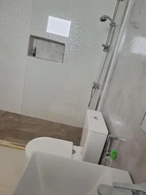 a bathroom with a white toilet and a shower at Bela's house in Mindelo