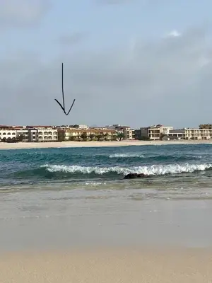 a bird flying over the ocean with a beach at Vista di mare in Sal Rei