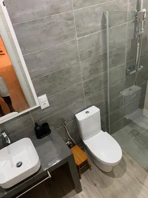 a bathroom with a toilet and a sink and a shower at Alfa-apartamento in Pombas